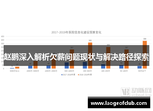 赵鹏深入解析欠薪问题现状与解决路径探索