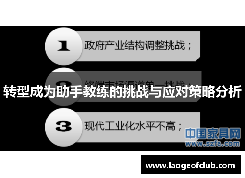 转型成为助手教练的挑战与应对策略分析